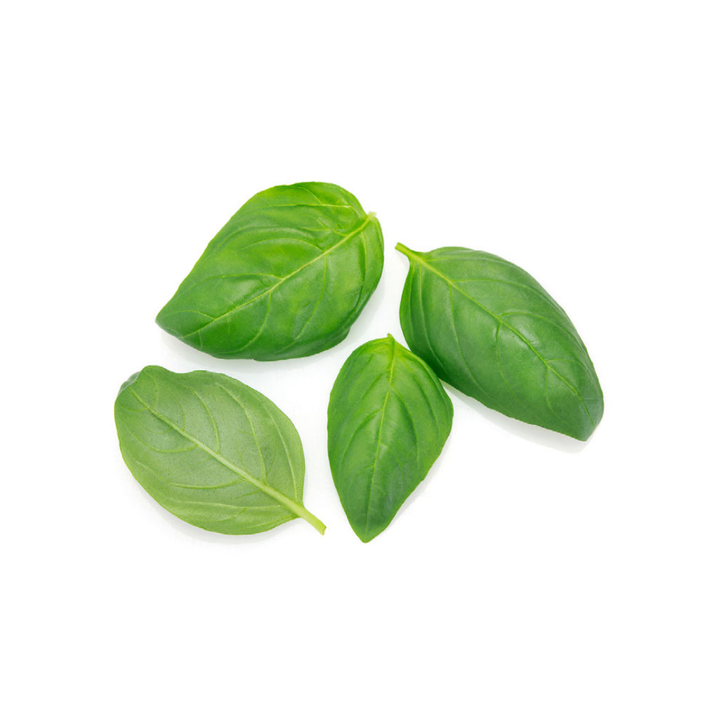 Basil Essential Oil - Organic & Therapeutic-Grade