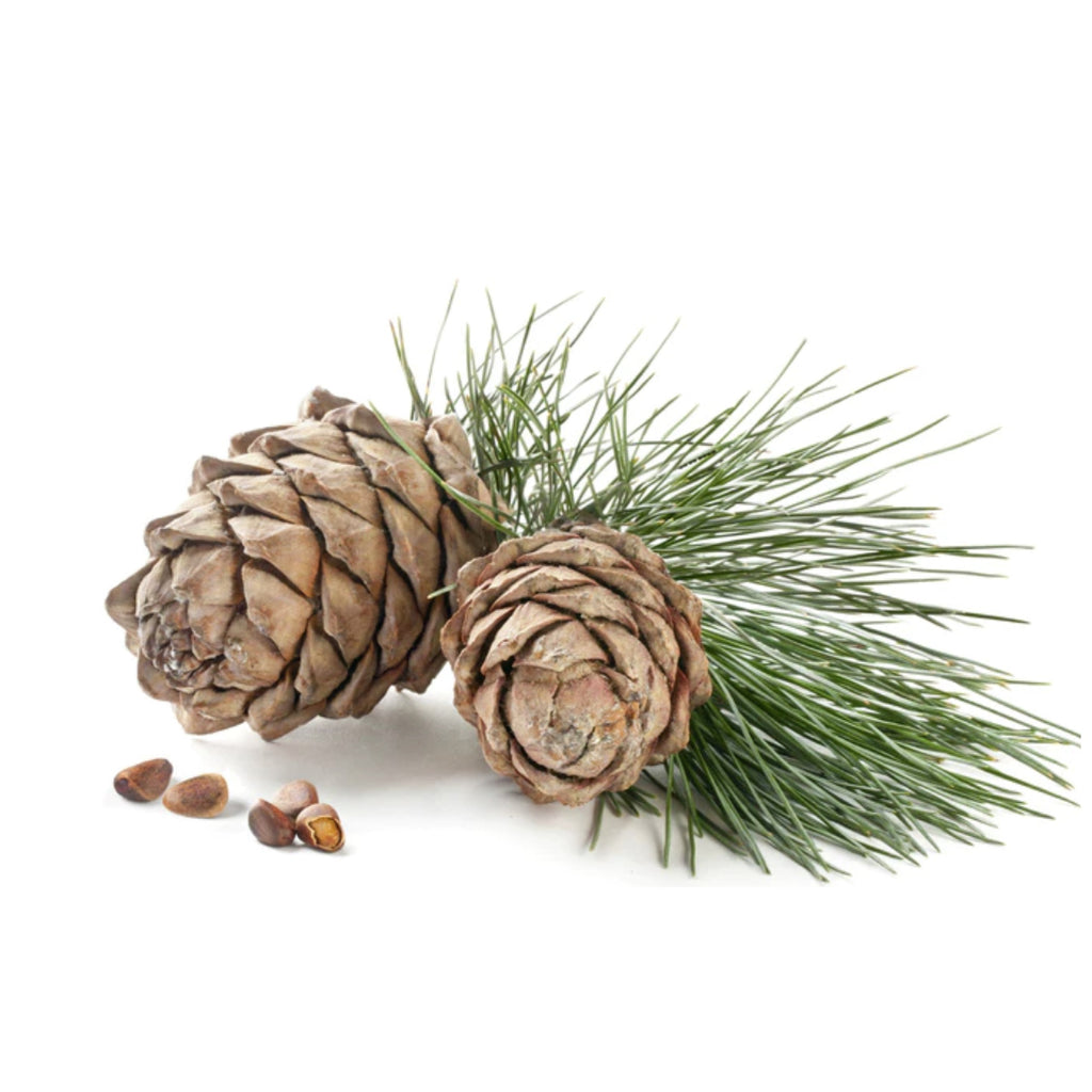 Cedarwood Atlas Essential Oil - Organic & Therapeutic-Grade