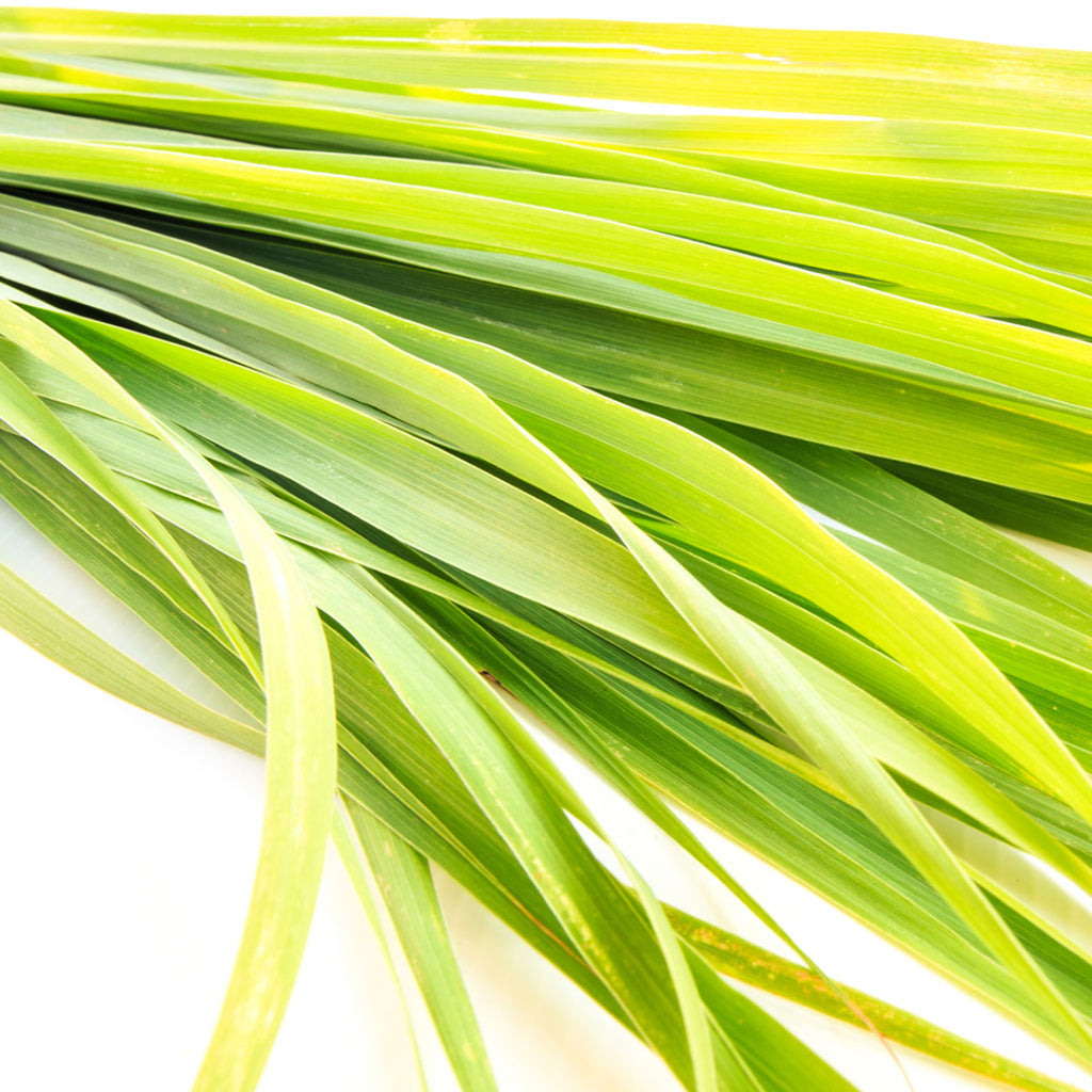 Lemongrass Essential Oil - Organic & Therapeutic-Grade