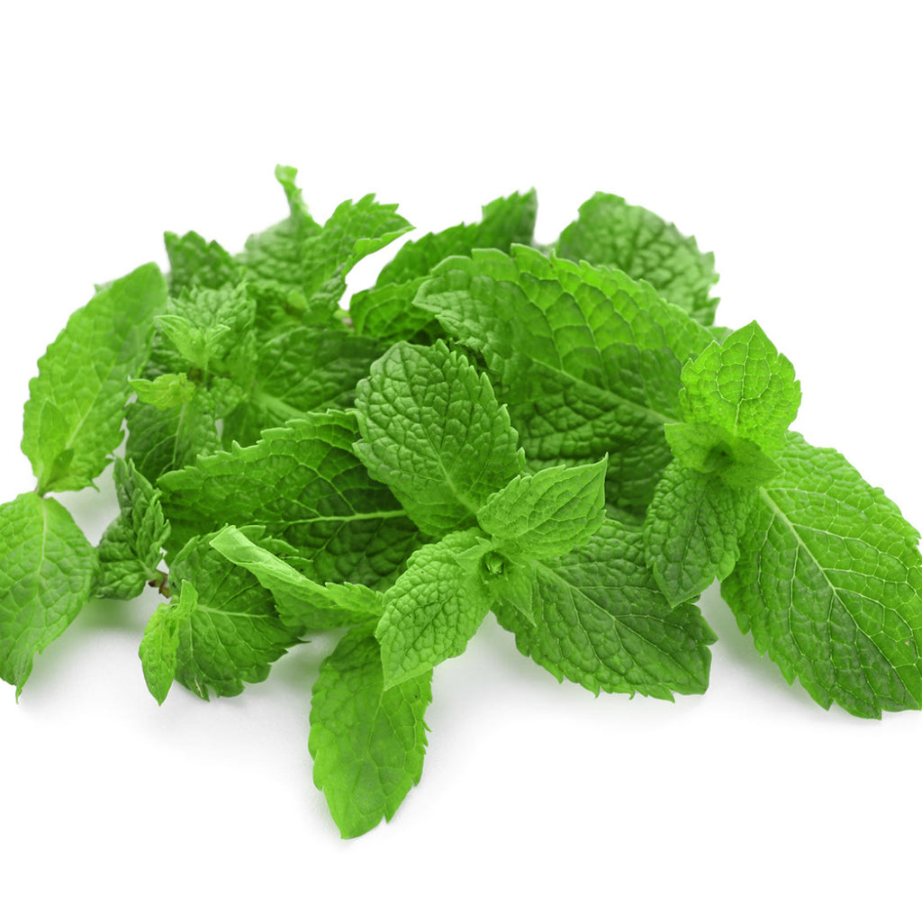 Peppermint Japanese Essential Oil - Organic & Therapeutic-Grade