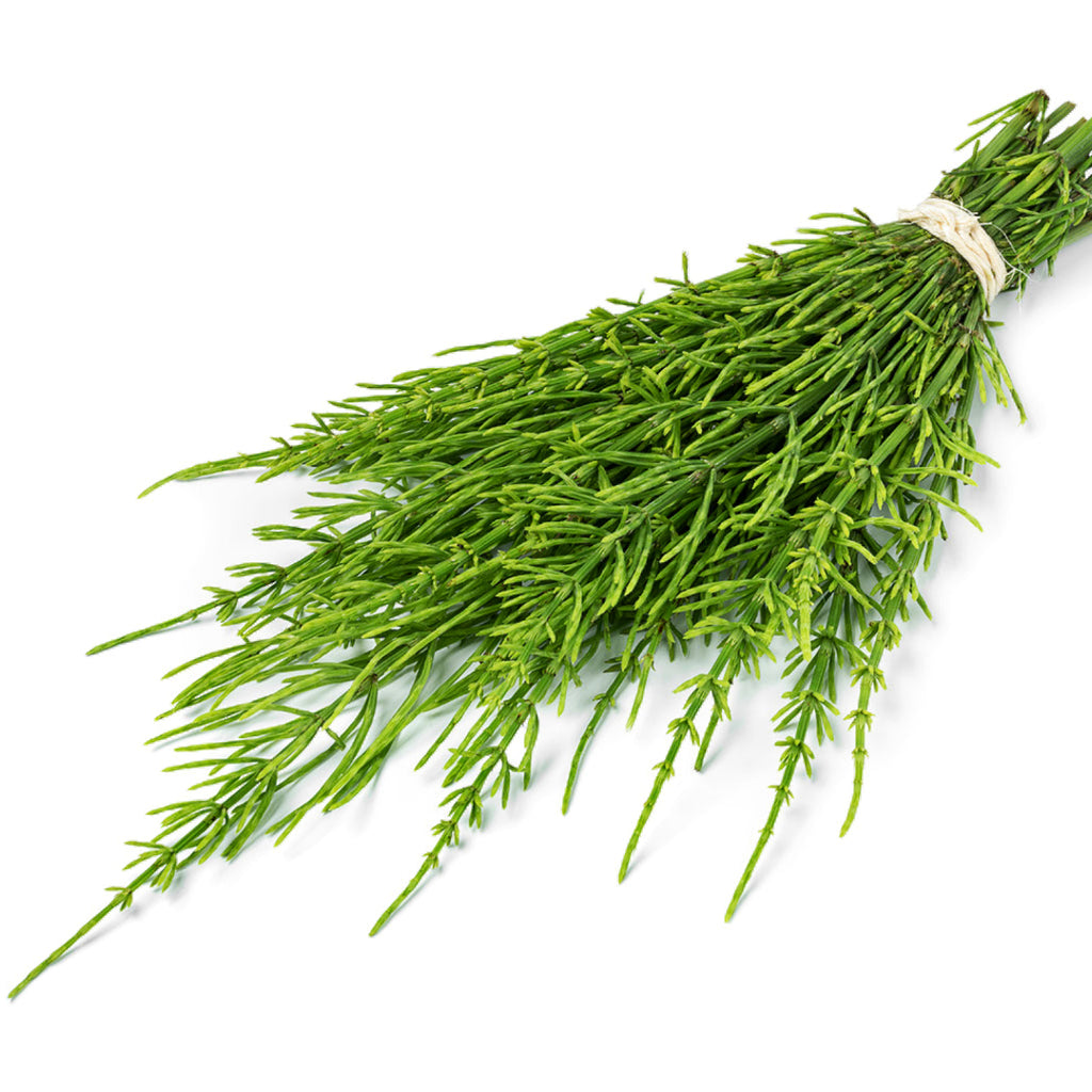 Horsetail - Organic